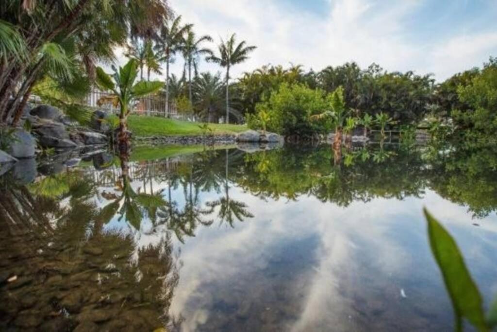 Apartamento Bien Situado - Buenas Conexiones Santa Cruz de Tenerife Ngoại thất bức ảnh