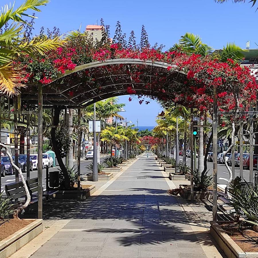 Apartamento Bien Situado - Buenas Conexiones Santa Cruz de Tenerife Ngoại thất bức ảnh